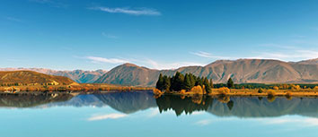 争夺冠军的路上，每一步都充满挑战