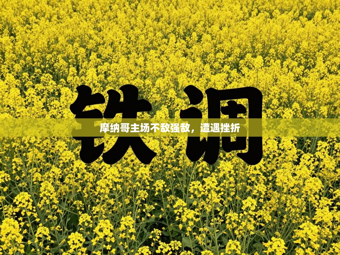 摩纳哥主场不敌强敌，遭遇挫折